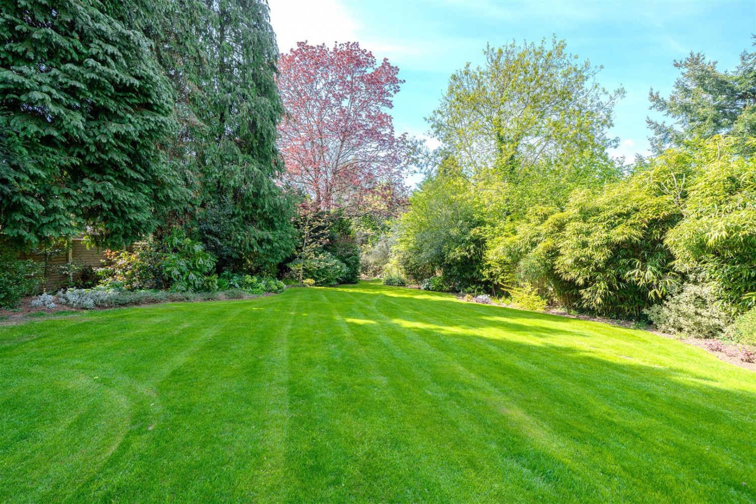 Images for Old Sneed Park, Sneyd Park, Bristol, BS9